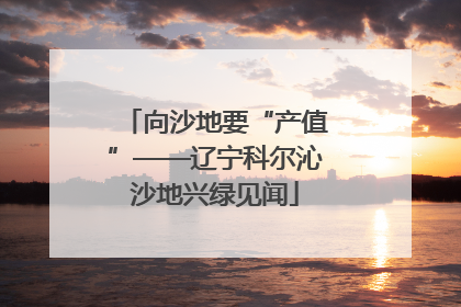 向沙地要“产值”——辽宁科尔沁沙地兴绿见闻