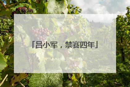 吕小军，禁赛四年