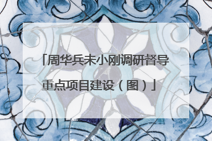周华兵未小刚调研督导重点项目建设（图）