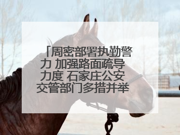 周密部署执勤警力 加强路面疏导力度 石家庄公安交管部门多措并举确保考点周边交通环境良好