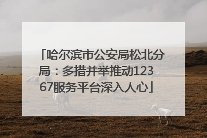哈尔滨市公安局松北分局：多措并举推动12367服务平台深入人心