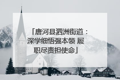 唐河县泗洲街道：深学细悟强本领 履职尽责担使命