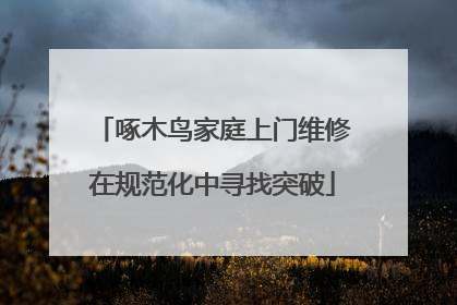 啄木鸟家庭上门维修在规范化中寻找突破