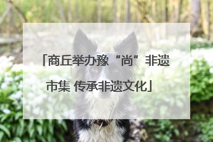 商丘举办豫“尚”非遗市集 传承非遗文化