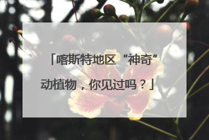 喀斯特地区“神奇”动植物，你见过吗？