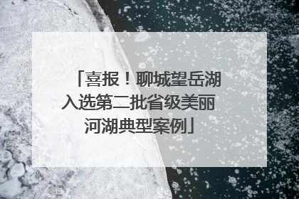 喜报！聊城望岳湖入选第二批省级美丽河湖典型案例