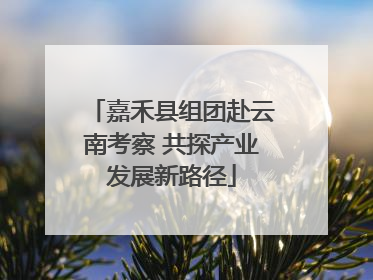 嘉禾县组团赴云南考察 共探产业发展新路径
