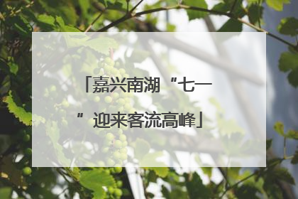 嘉兴南湖“七一”迎来客流高峰