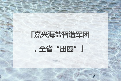 嘉兴海盐智造军团，全省“出圈”