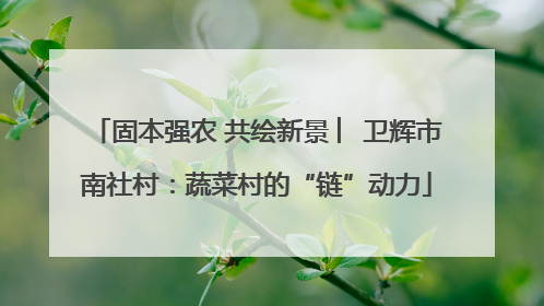固本强农 共绘新景 ︳卫辉市南社村：蔬菜村的“链”动力