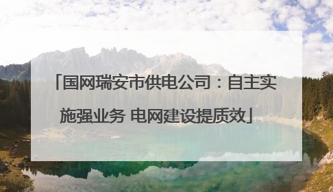 国网瑞安市供电公司：自主实施强业务 电网建设提质效
