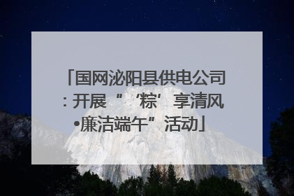 国网泌阳县供电公司：开展“‘粽’享清风 •廉洁端午”活动