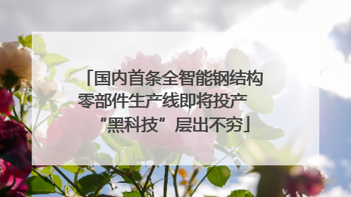 国内首条全智能钢结构零部件生产线即将投产 “黑科技”层出不穷