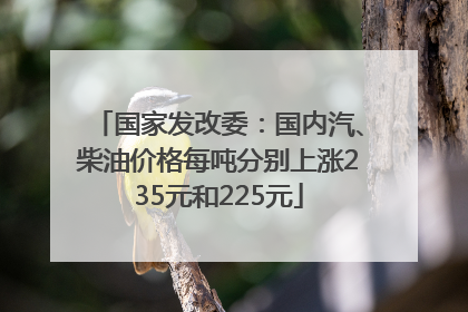 国家发改委：国内汽、柴油价格每吨分别上涨235元和225元