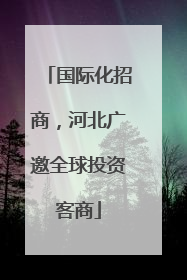 国际化招商，河北广邀全球投资客商
