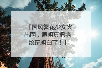 国风簪花少女火出圈，昆明真把墙绘玩明白了！