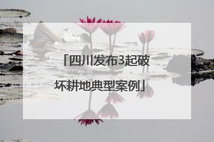 四川发布3起破坏耕地典型案例