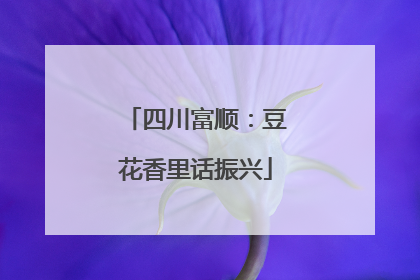 四川富顺：豆花香里话振兴