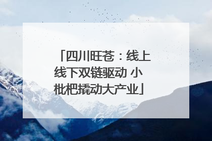 四川旺苍：线上线下双链驱动 小枇杷撬动大产业