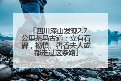 四川深山发现2.7公里茶马古道：立有石碑，杨慎、奢香夫人或都走过这条路