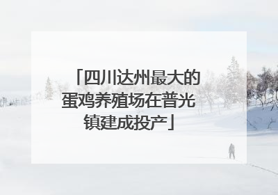 四川达州最大的蛋鸡养殖场在普光镇建成投产