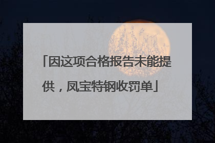 因这项合格报告未能提供，凤宝特钢收罚单