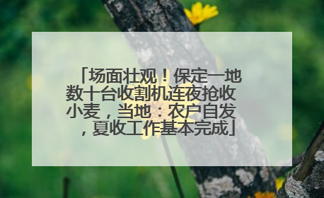 场面壮观！保定一地数十台收割机连夜抢收小麦，当地：农户自发，夏收工作基本完成