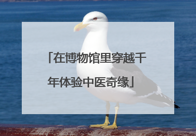 在博物馆里穿越千年体验中医奇缘