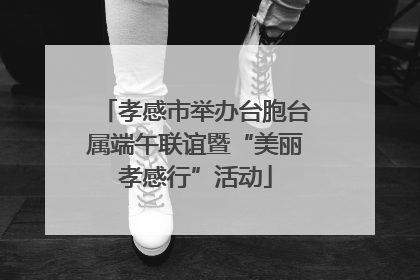 孝感市举办台胞台属端午联谊暨“美丽孝感行”活动