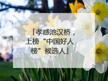 孝感池汉桥，上榜“中国好人榜”候选人