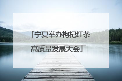 宁夏举办枸杞红茶高质量发展大会
