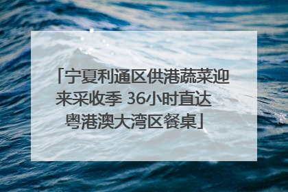 宁夏利通区供港蔬菜迎来采收季 36小时直达粤港澳大湾区餐桌