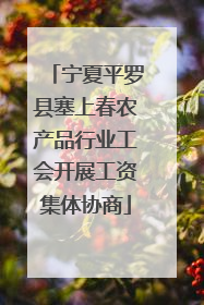 宁夏平罗县塞上春农产品行业工会开展工资集体协商