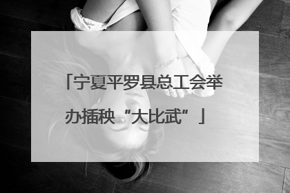 宁夏平罗县总工会举办插秧“大比武”
