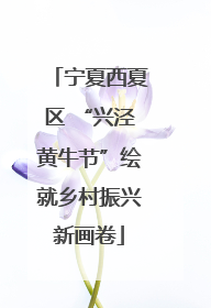 宁夏西夏区 “兴泾黄牛节”绘就乡村振兴新画卷