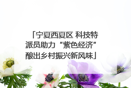 宁夏西夏区 科技特派员助力“紫色经济”酿出乡村振兴新风味