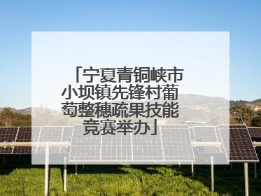 宁夏青铜峡市小坝镇先锋村葡萄整穗疏果技能竞赛举办