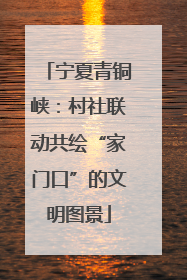 宁夏青铜峡：村社联动共绘“家门口”的文明图景