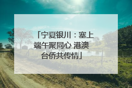 宁夏银川：塞上端午聚同心 港澳台侨共传情