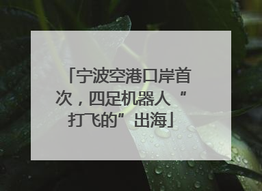 宁波空港口岸首次，四足机器人“打飞的”出海