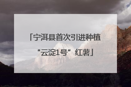 宁洱县首次引进种植“云淀1号”红薯