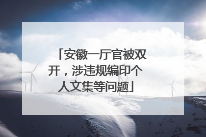 安徽一厅官被双开，涉违规编印个人文集等问题