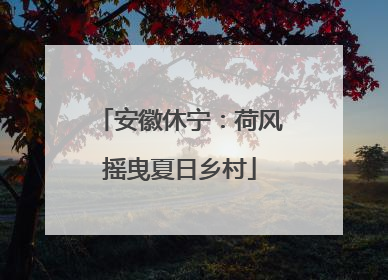 安徽休宁：荷风摇曳夏日乡村