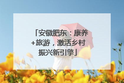 安徽肥东：康养+旅游，激活乡村振兴新引擎