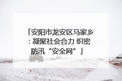 安阳市龙安区马家乡：凝聚社会合力 织密防汛“安全网”