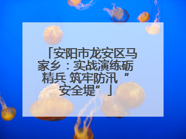安阳市龙安区马家乡：实战演练砺精兵 筑牢防汛“安全堤”