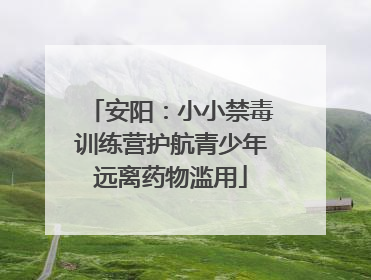 安阳：小小禁毒训练营护航青少年远离药物滥用