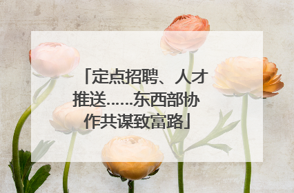 定点招聘、人才推送……东西部协作共谋致富路