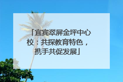 宜宾翠屏金坪中心校：共探教育特色，携手共促发展