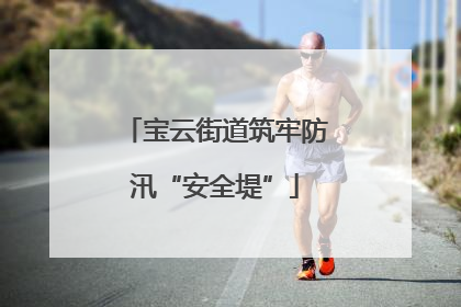 宝云街道筑牢防汛“安全堤”